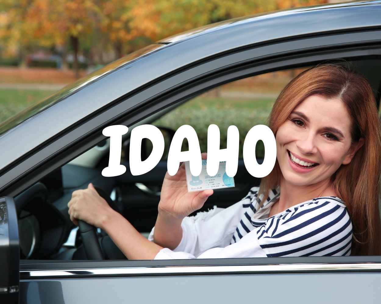 Cita para Licencia de Manejar en Idaho